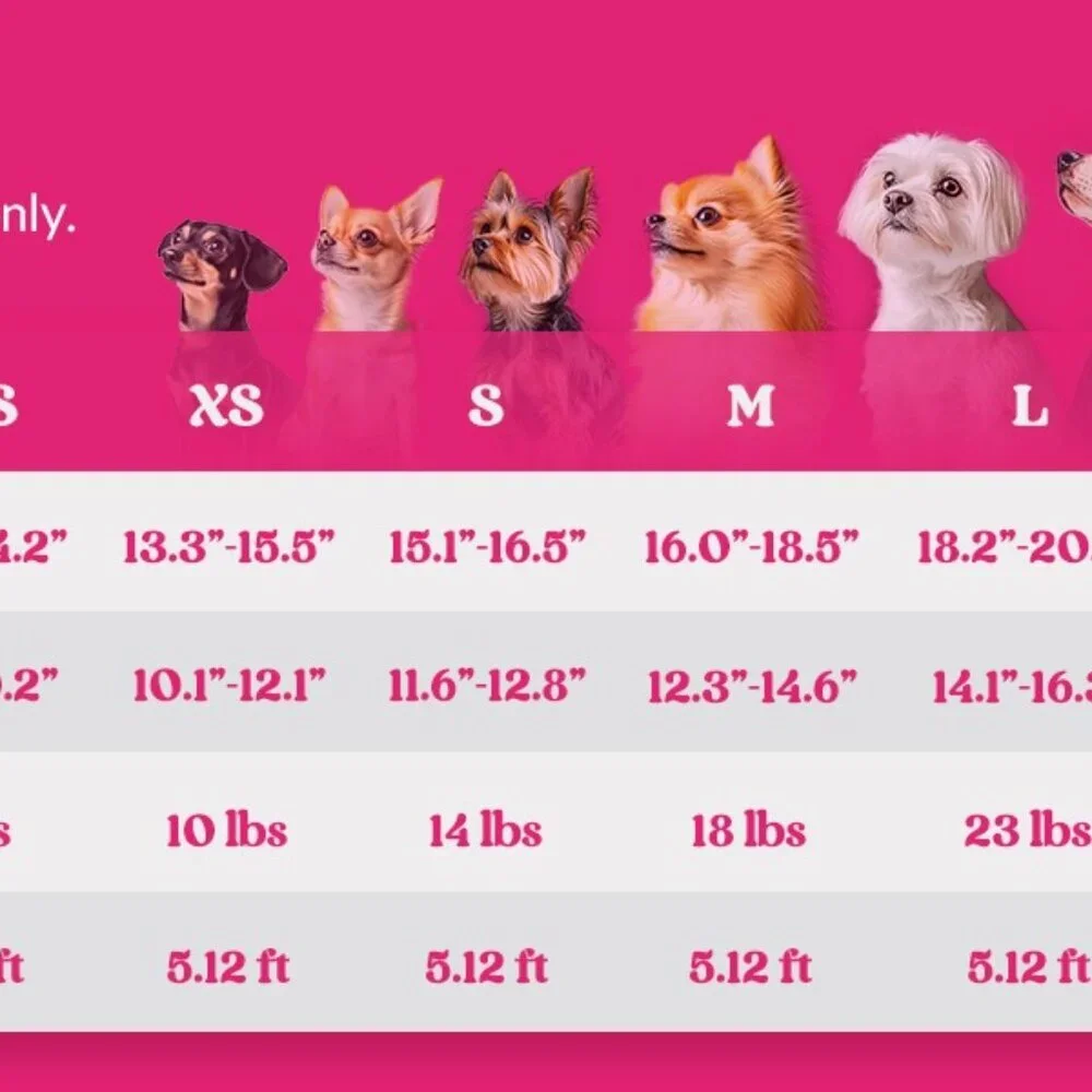 Small Dog Harness & Leash Set | Adjustable Puppy Cat Walking Vest Lead Pink XXS